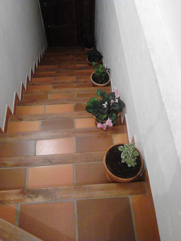 Cemandy Hostal Villa de Leyva Dış mekan fotoğraf